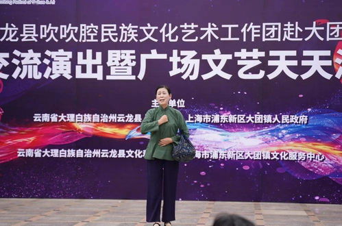 云龙吹吹腔艺术之花绽放大团镇，两地文化艺术交流谱新篇